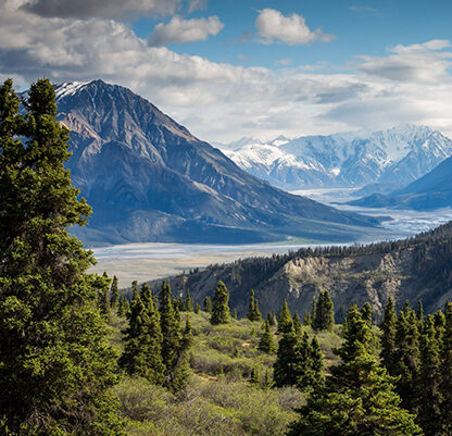 Effekten av transcendental meditasjon i hverdagen. Bilde som illustrerer indre ro og tilstedeværelse som den enkle meditasjonsteknikken skaper.